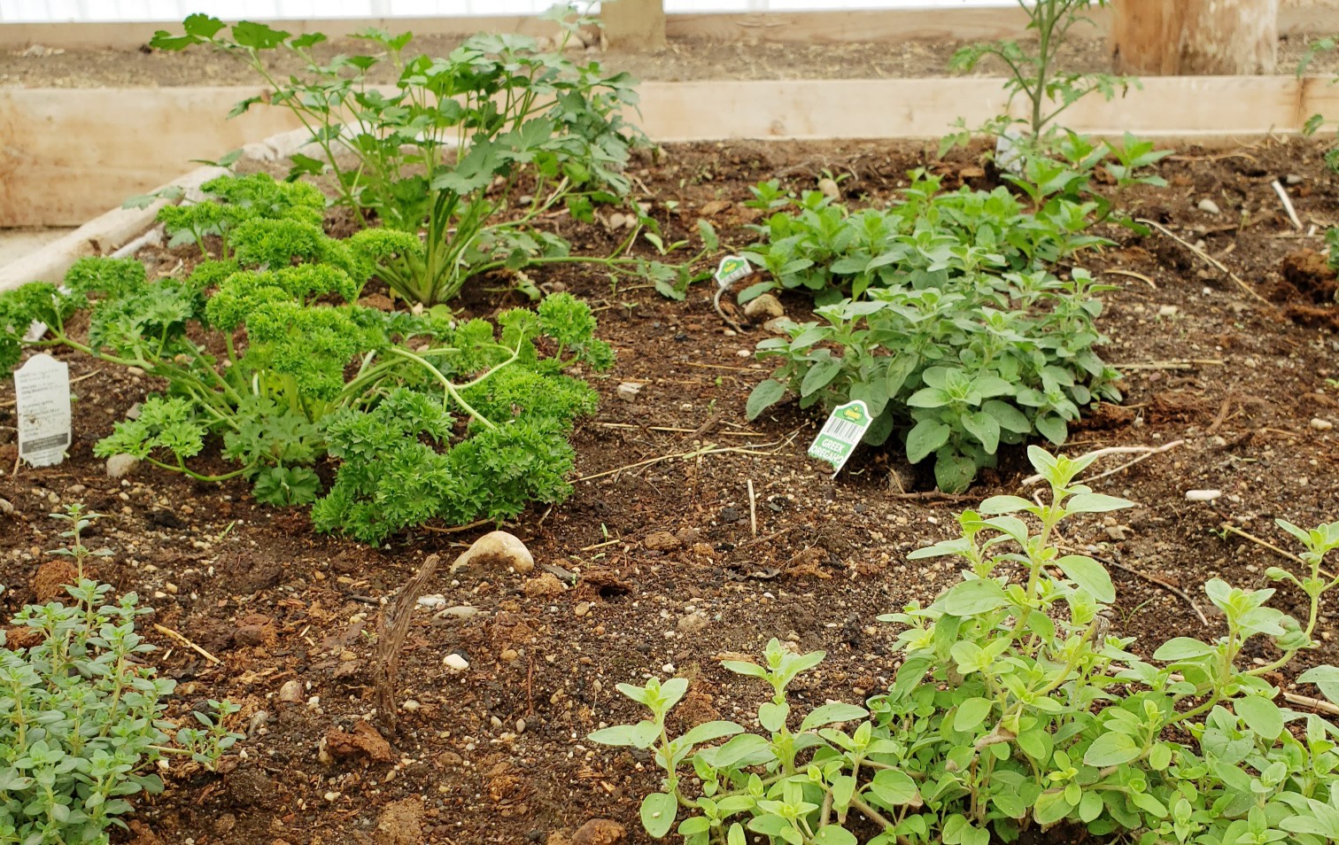 Quantifying nutrients helps optimize plant growth.